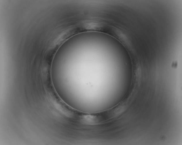 X0000114220265200910091354