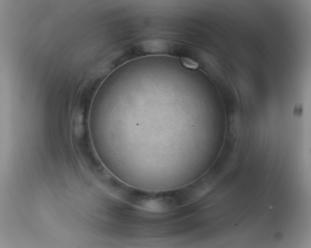 X0000114220267200910091354