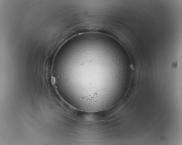 X0000114220268200910091354