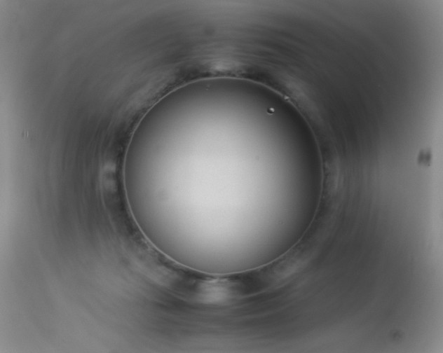 X0000114220269200910091354