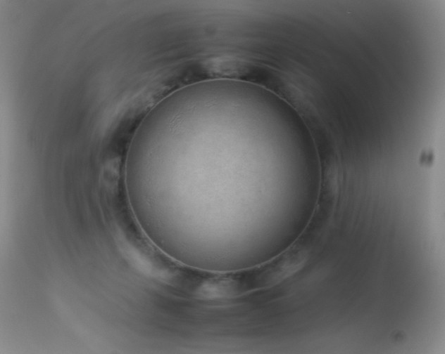 X0000114220271200910091354