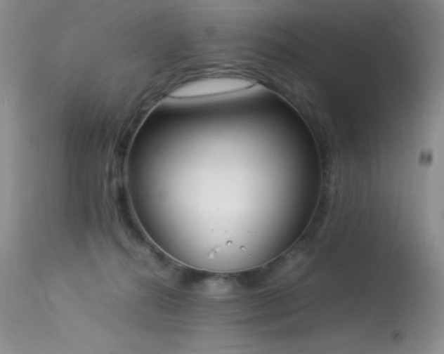 X0000114220272200910091354