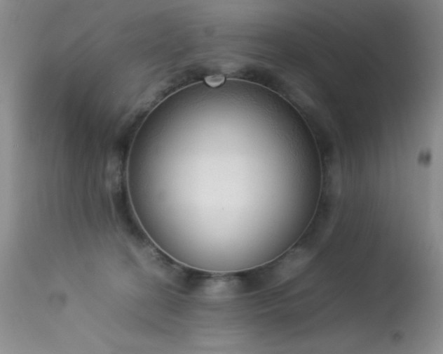 X0000114220274200910091354