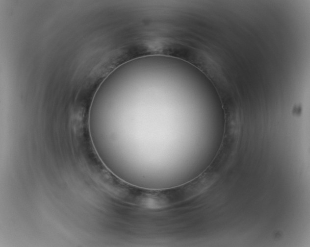 X0000114220275200910091354