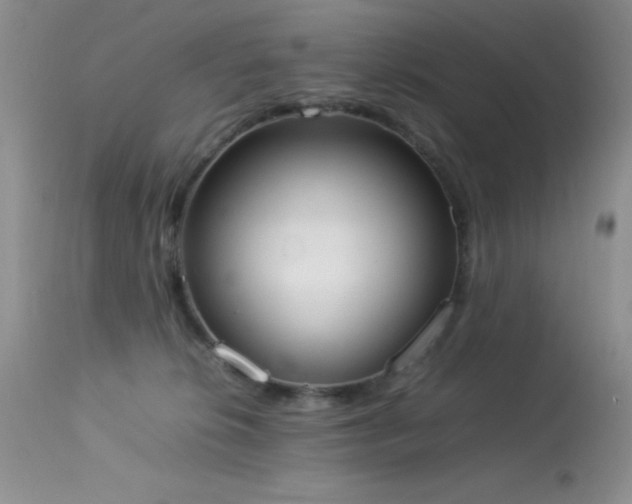 X0000114220276200910091354