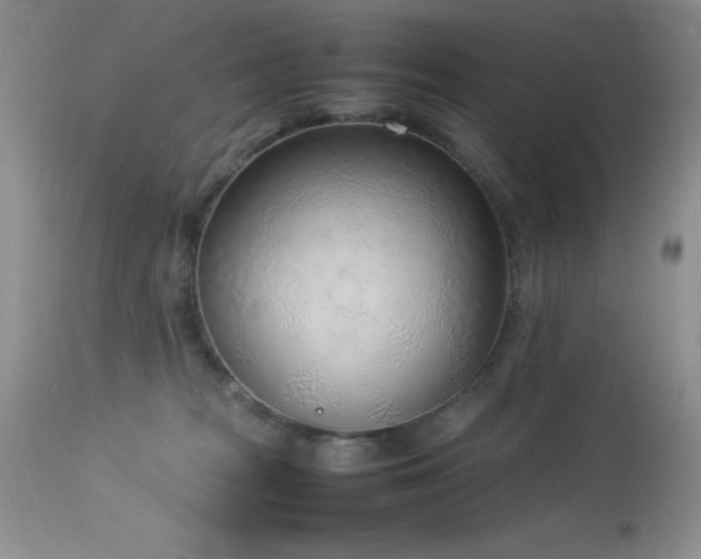 X0000114220277200910091355