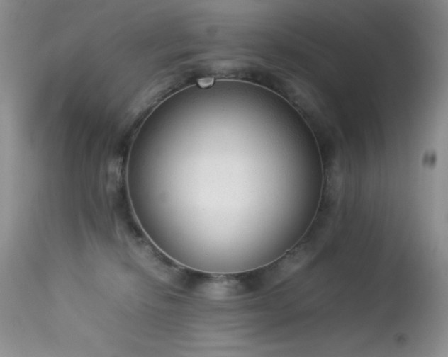 X0000114220278200910091355