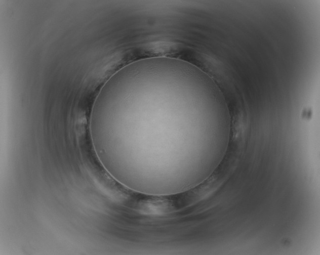 X0000114220279200910091355