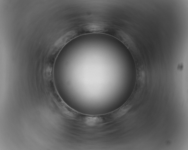 X0000114220281200910091355