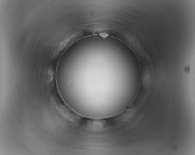 X0000114220282200910091355