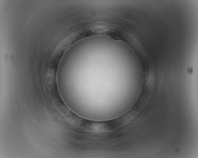 X0000114220283200910091355