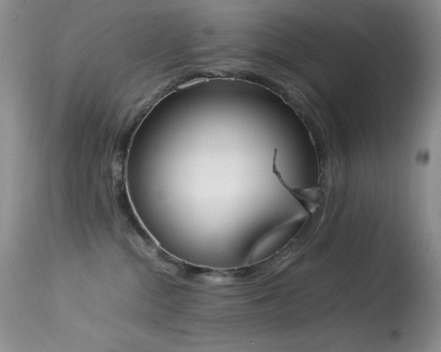 X0000114220284200910091355