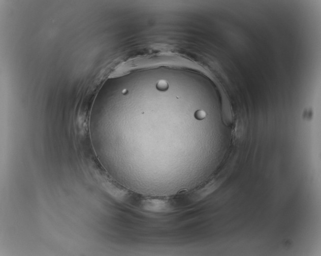 X0000114220285200910091355