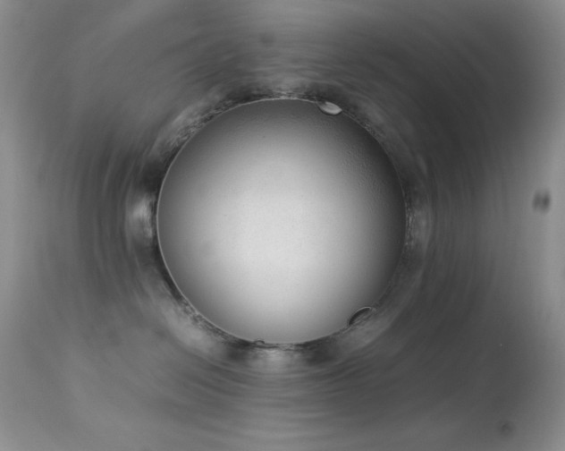 X0000114220286200910091355