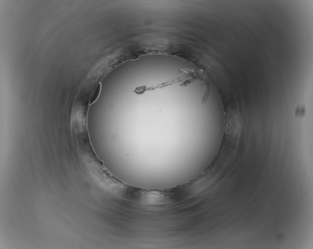 X0000114220287200910091355