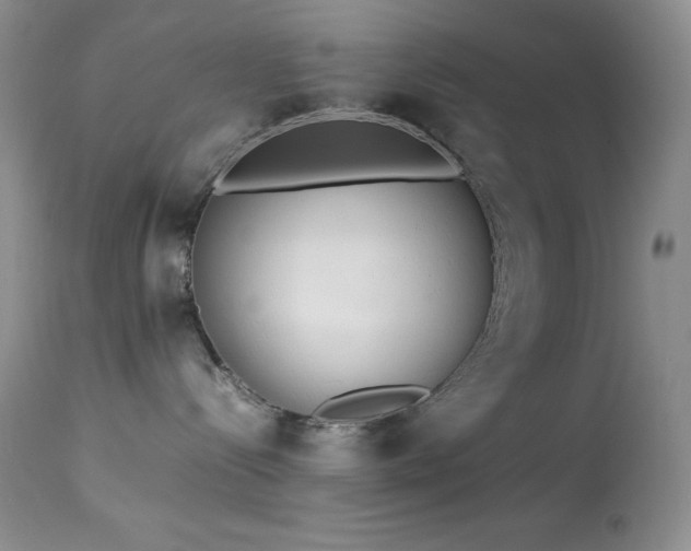 X0000114220288200910091355