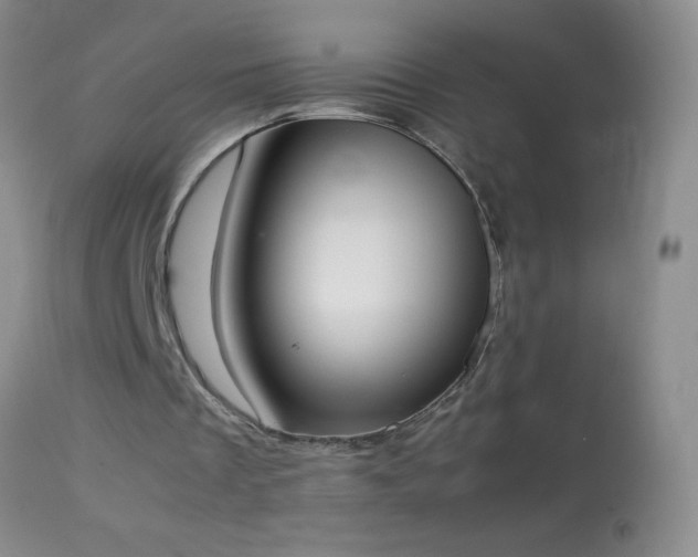 X0000114220289200910091354