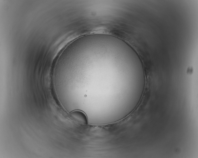 X0000114220290200910091354