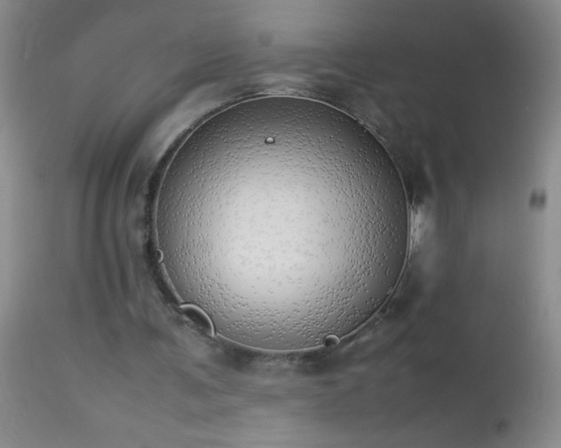 X0000114220291200910091354