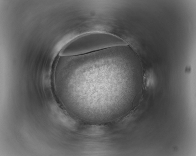 X0000114220292200910091354