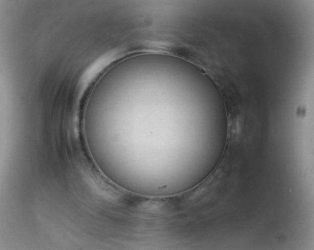 X0000114220294200910091354