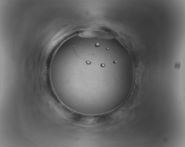 X0000114220295200910091354