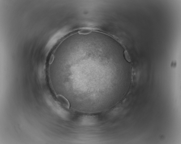 X0000114220296200910091354