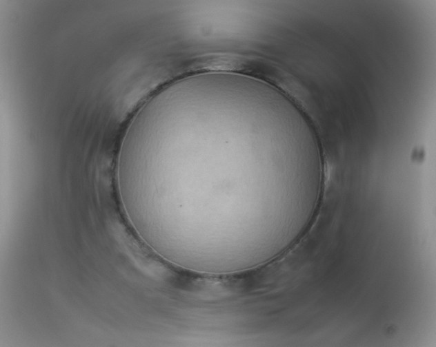 X0000114220297200910091354