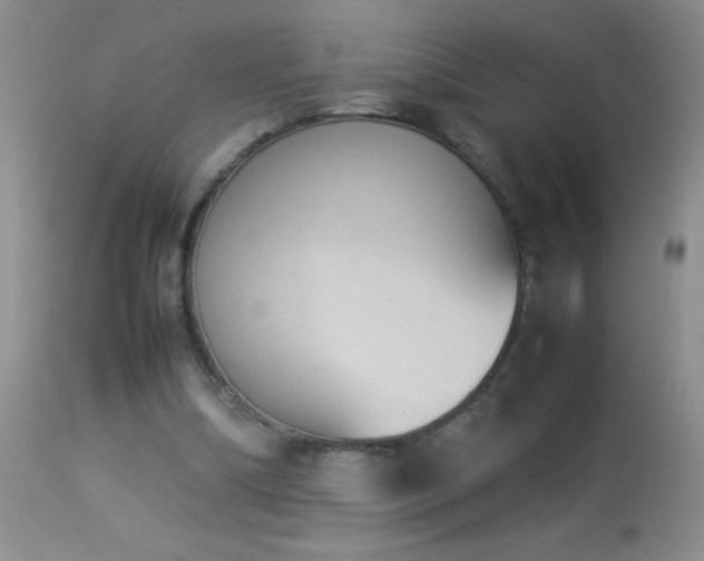 X0000114220298200910091354