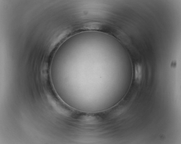 X0000114220300200910091354