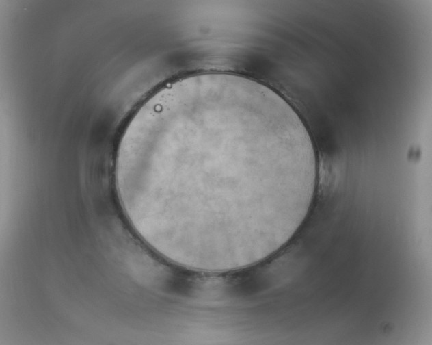 X0000114220301200910091354