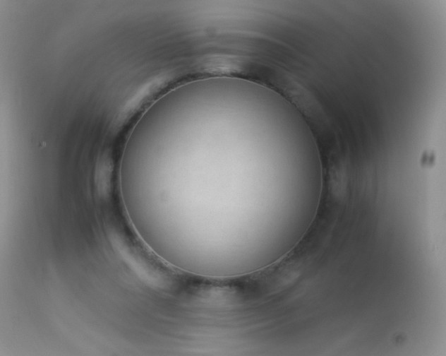 X0000114220304200910091354