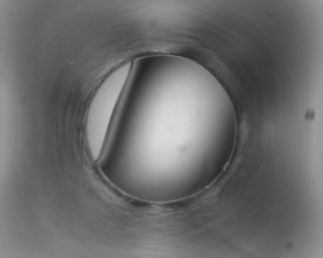 X0000114220305200910091354