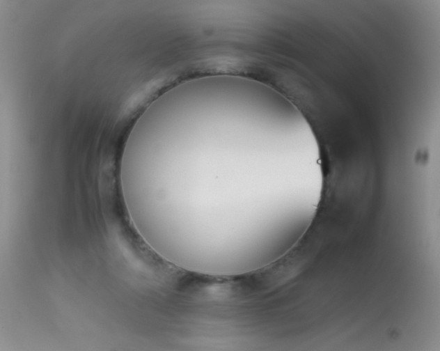 X0000114220306200910091354