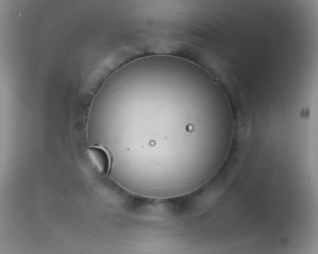 X0000114220307200910091354