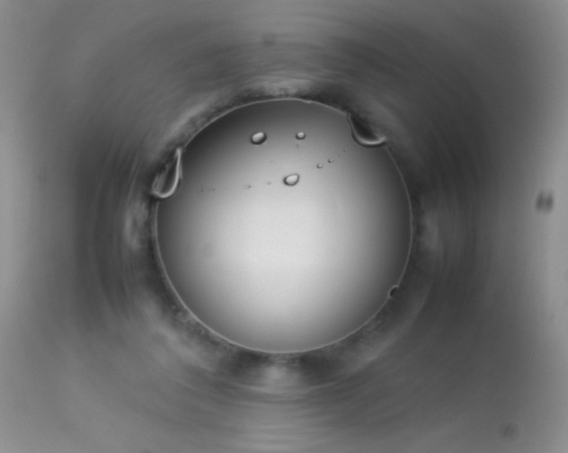 X0000114220308200910091354