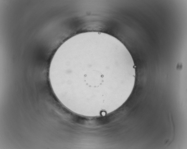 X0000114220309200910091354