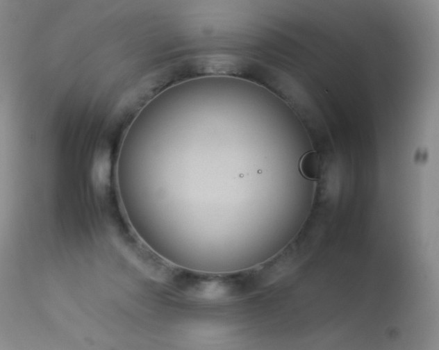 X0000114220310200910091354