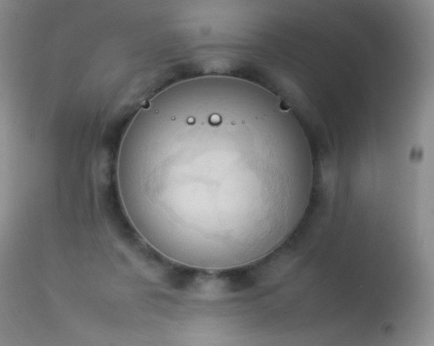 X0000114220311200910091354