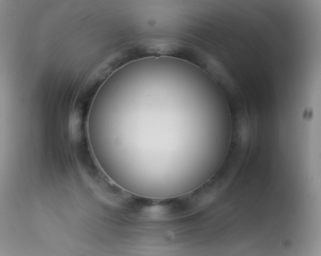 X0000114220312200910091354