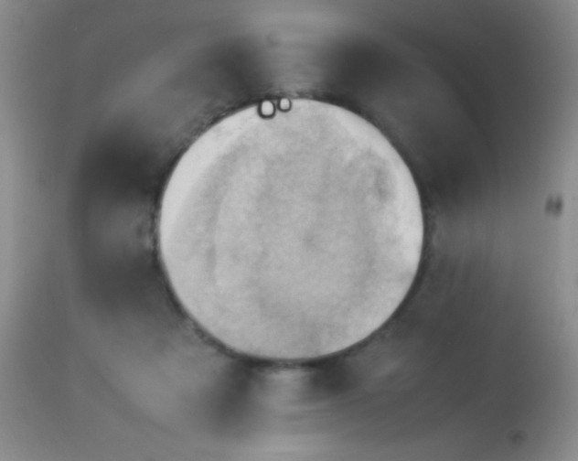 X0000114220313200910091354