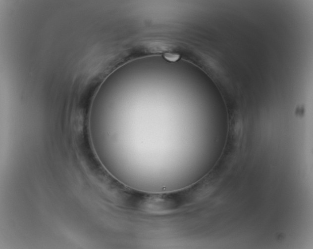 X0000114220315200910091353