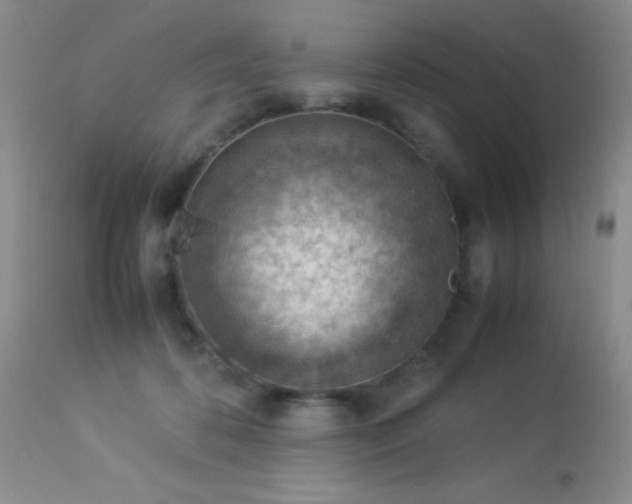 X0000114220316200910091353