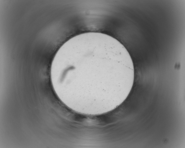 X0000114220317200910091353