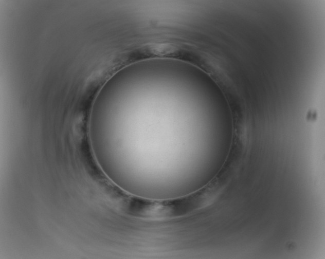 X0000114220319200910091353