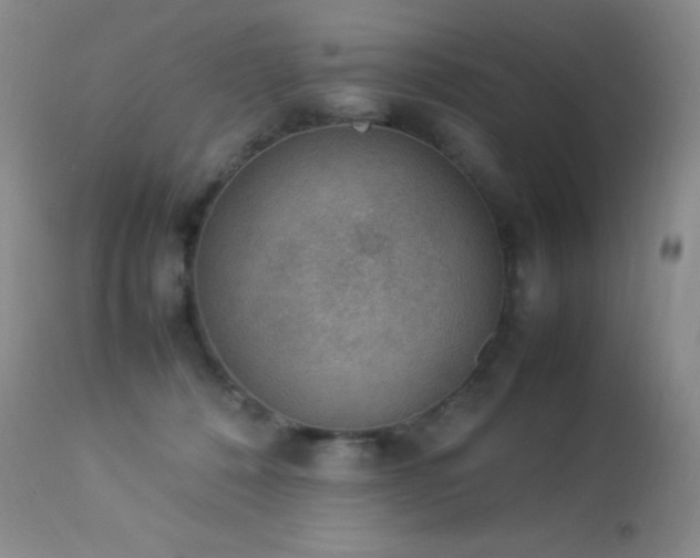 X0000114220320200910091353