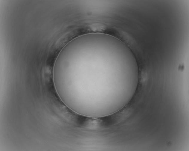 X0000114220321200910091353