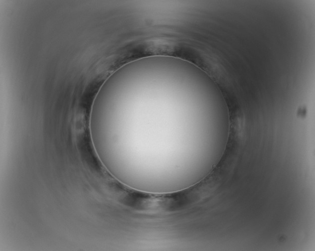 X0000114220323200910091353