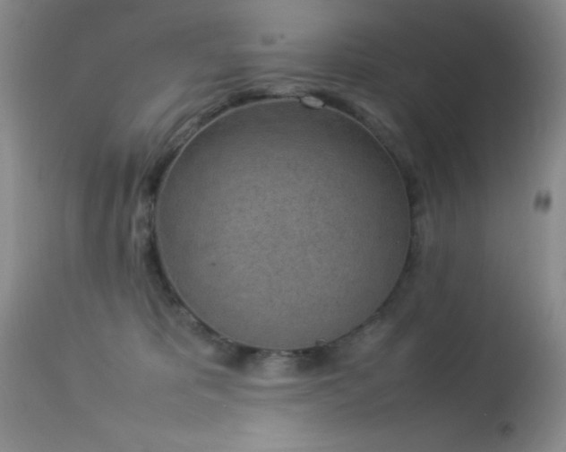 X0000114220325200910091353