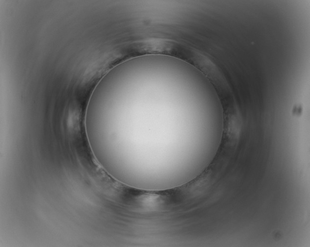 X0000114220326200910091353